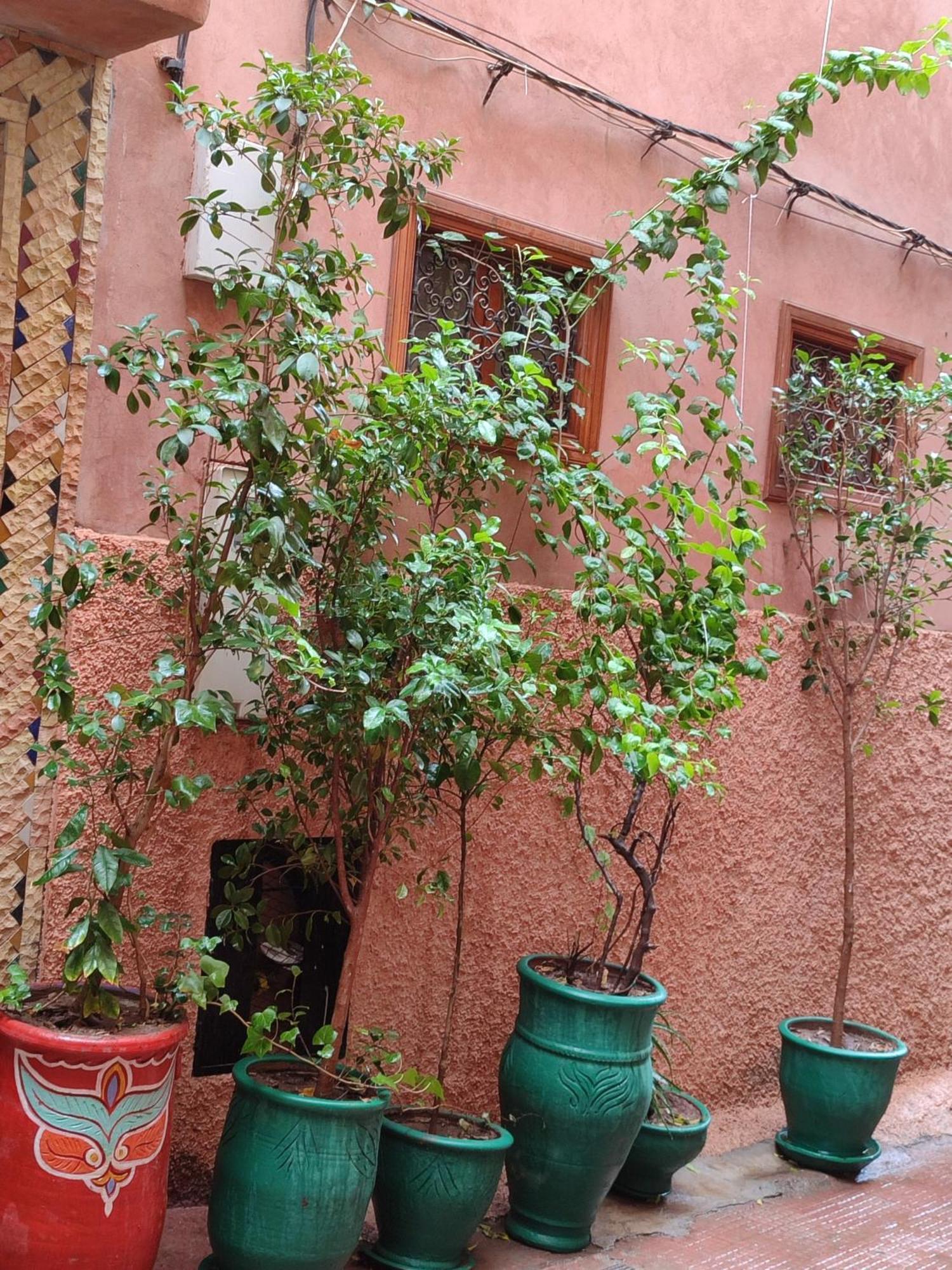 Riad Zahri มาร์ราเกช ภายนอก รูปภาพ